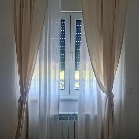 Andrej Lux * 贝尔格莱德