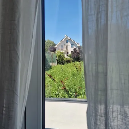 Andrej Lux 贝尔格莱德