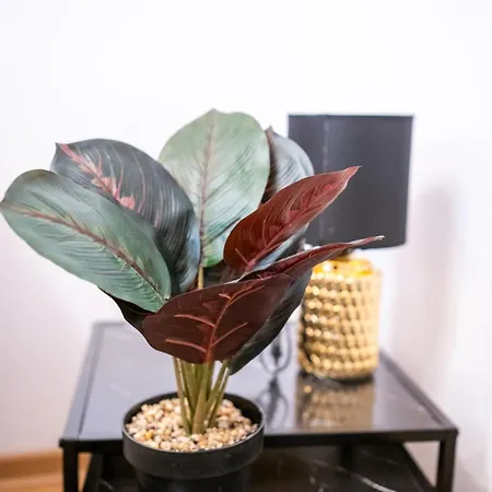 Andrej Lux Apartment