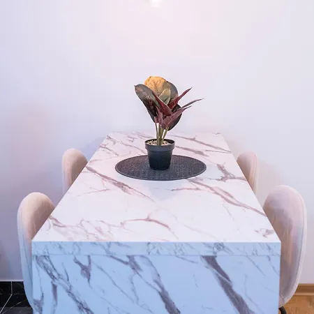 Andrej Lux 公寓 贝尔格莱德